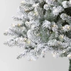 7.5' Pre-Lit Flocked Full Alberta Spruce Artficial Christmas Tree With Warm White LED Lights - Wondershop™ 6 7.5' Pre-Lit Flocked Full Alberta Spruce Artficial Christmas Tree With Warm White LED Lights - Wondershop™ -Wondershop Shop GUEST 0bf78a47 e2c5 47bd 8028 f787c75c1c84