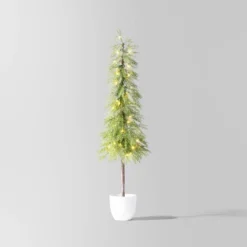 Pre-Lit Potted Balsam Artificial Christmas Tree - Wondershop™ -Wondershop Shop GUEST 1b781a07 a754 462f 8db8 e14d97a5da4a