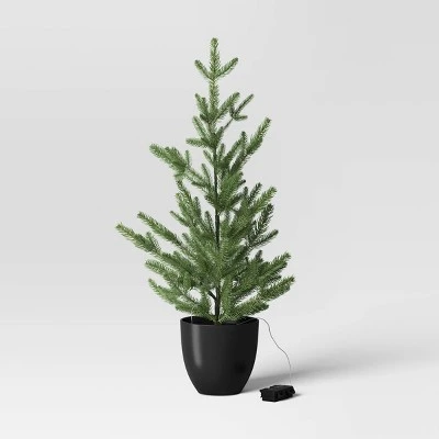 Pre-lit Potted Balsam Fir Mini Artificial Christmas Tree Set Warm White Lights - Wondershop™ 2 Pre-lit Potted Balsam Fir Mini Artificial Christmas Tree Set Warm White Lights - Wondershop™ - Image 2