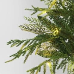 24" Pre-Lit Christmas Norfolk Cedar Artificial Greenery With Ground Stake - Wondershop™ 6 24" Pre-Lit Christmas Norfolk Cedar Artificial Greenery With Ground Stake - Wondershop™ -Wondershop Shop GUEST 517b159a ab98 4251 ad4a 9a78c2d8852a