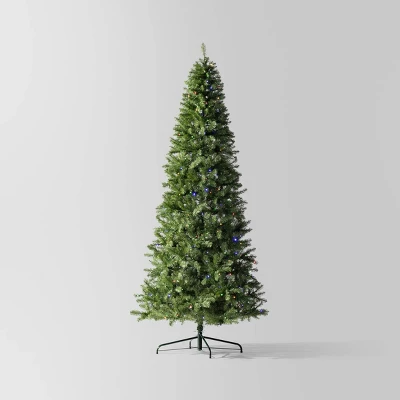 Pre-Lit LED Alberta Spruce Artificial Christmas Tree - Wondershop™ 9 Pre-Lit LED Alberta Spruce Artificial Christmas Tree - Wondershop™ - Image 9