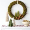 16" Battery Operated Lit Woodland Scene Moss Artificial Christmas Wreath Green - Wondershop™