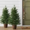 2pc 3' Pre-Lit Potted Balsam Fir Artificial Christmas Trees Warm LED White Lights - Wondershop™