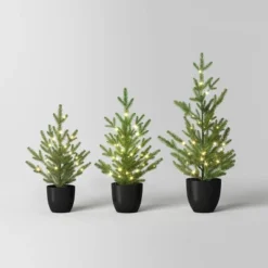 Pre-lit Potted Balsam Fir Mini Artificial Christmas Tree Set Warm White Lights - Wondershop™ 10 Pre-lit Potted Balsam Fir Mini Artificial Christmas Tree Set Warm White Lights - Wondershop™ -Wondershop Shop GUEST dace8258 2c82 4bf0 9dbe c83373b16bdf